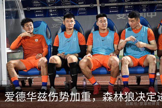 爱德华兹伤势加重，森林狼决定进行手术疗伤
